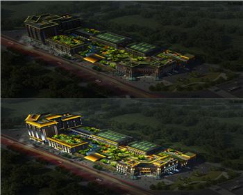 湖北景觀燈涇陽項目