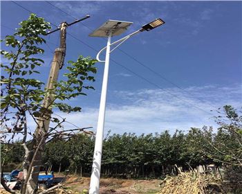 陜西西安藍田縣竹峪鎮(zhèn)新農村太陽能路燈