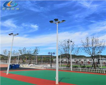 湖北延安學(xué)校路燈照明項(xiàng)目